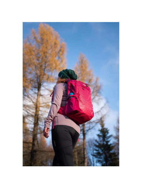 Husky Rucksack Campus 30 Liter-modernes Design-Pink